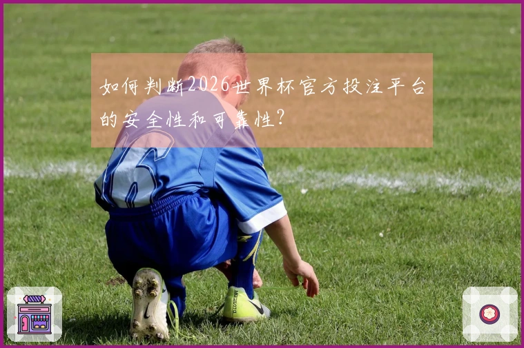 如何判断2026世界杯官方投注平台的安全性和可靠性？