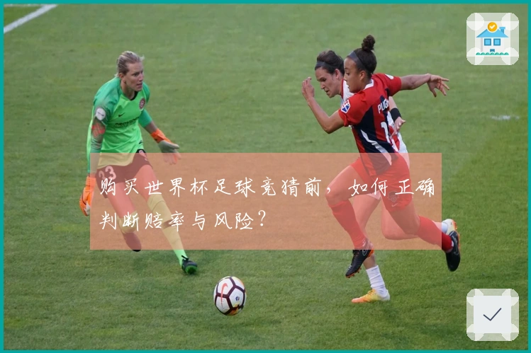 购买世界杯足球竞猜前，如何正确判断赔率与风险？