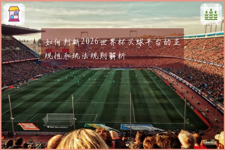 如何判断2026世界杯买球平台的正规性和玩法规则解析
