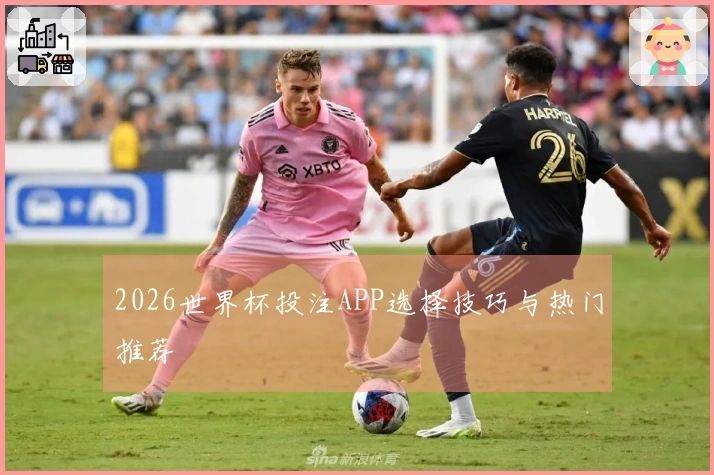 2026世界杯投注APP选择技巧与热门推荐