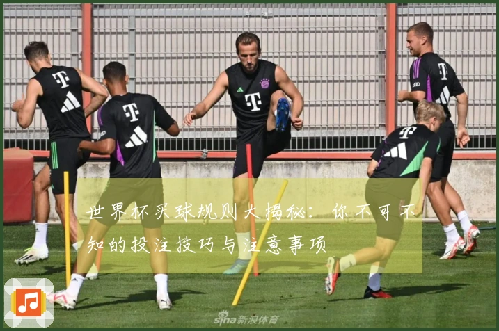 世界杯买球规则大揭秘：你不可不知的投注技巧与注意事项