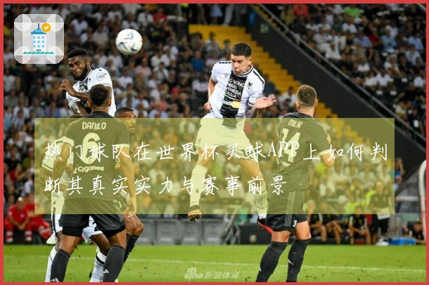 热门球队在世界杯买球APP上如何判断其真实实力与赛事前景