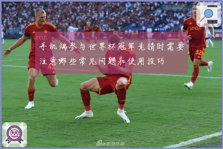 手机端参与世界杯冠军竞猜时需要注意哪些常见问题和使用技巧