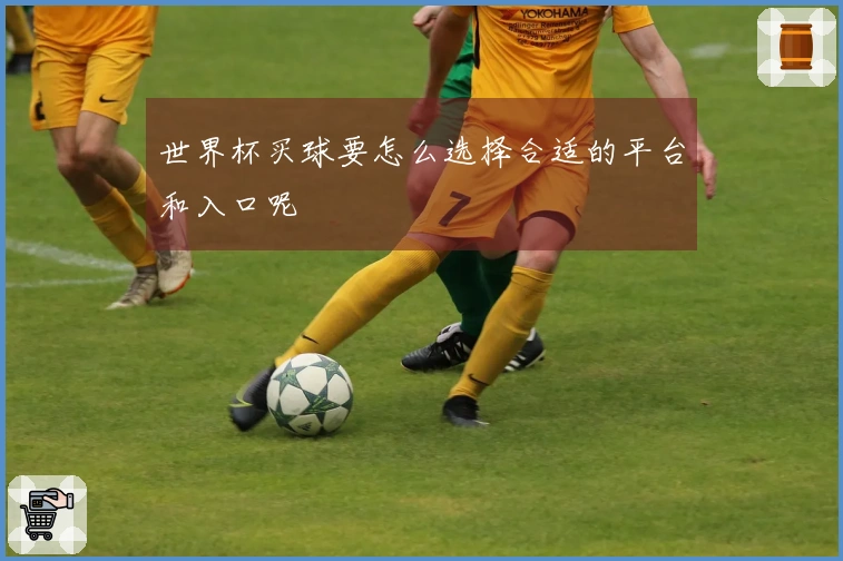 世界杯买球要怎么选择合适的平台和入口呢