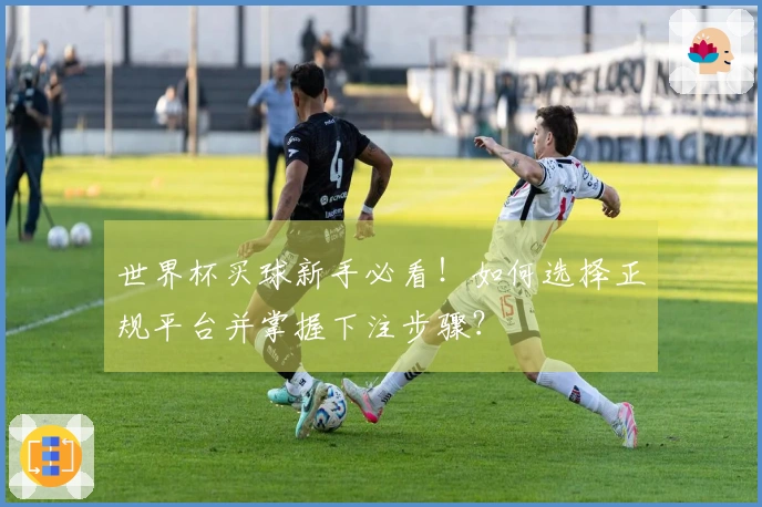世界杯买球新手必看！如何选择正规平台并掌握下注步骤？