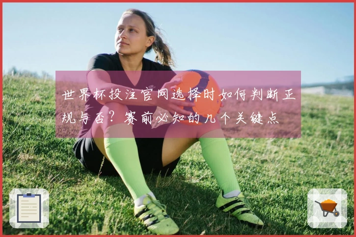 世界杯投注官网选择时如何判断正规与否？赛前必知的几个关键点