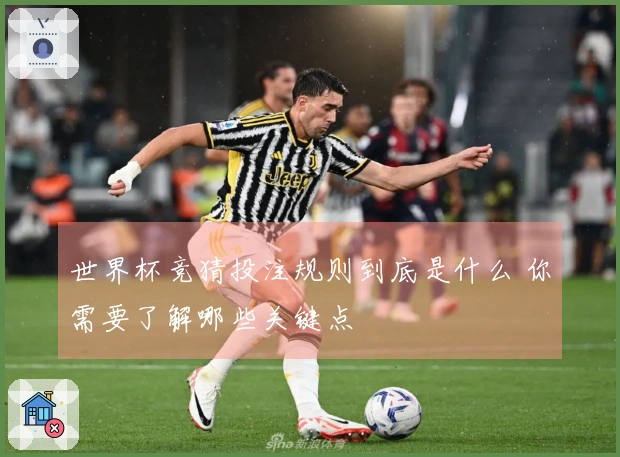 世界杯竞猜投注规则到底是什么 你需要了解哪些关键点