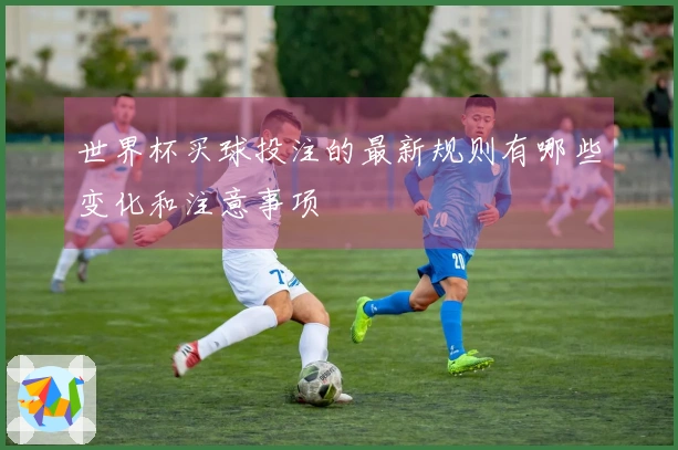 世界杯买球投注的最新规则有哪些变化和注意事项