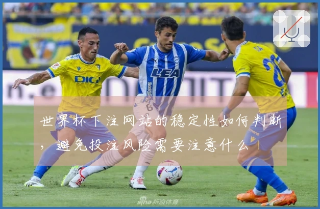 世界杯下注网站的稳定性如何判断，避免投注风险需要注意什么