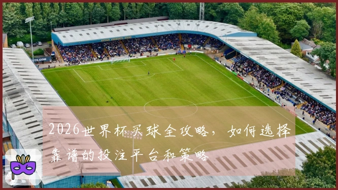 2026世界杯买球全攻略，如何选择靠谱的投注平台和策略