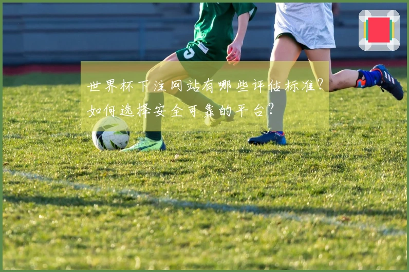 世界杯下注网站有哪些评估标准？如何选择安全可靠的平台？
