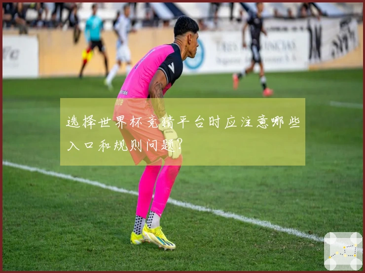 选择世界杯竞猜平台时应注意哪些入口和规则问题？
