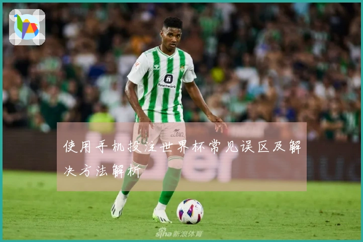 使用手机投注世界杯常见误区及解决方法解析