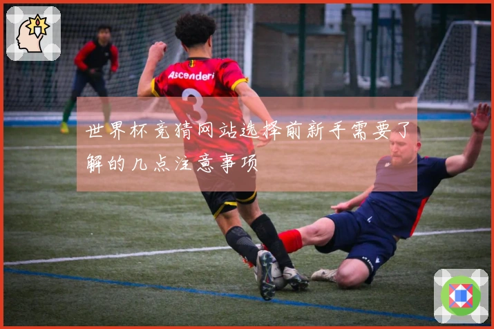 世界杯竞猜网站选择前新手需要了解的几点注意事项