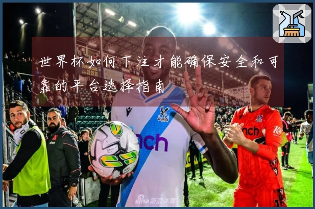 世界杯如何下注才能确保安全和可靠的平台选择指南