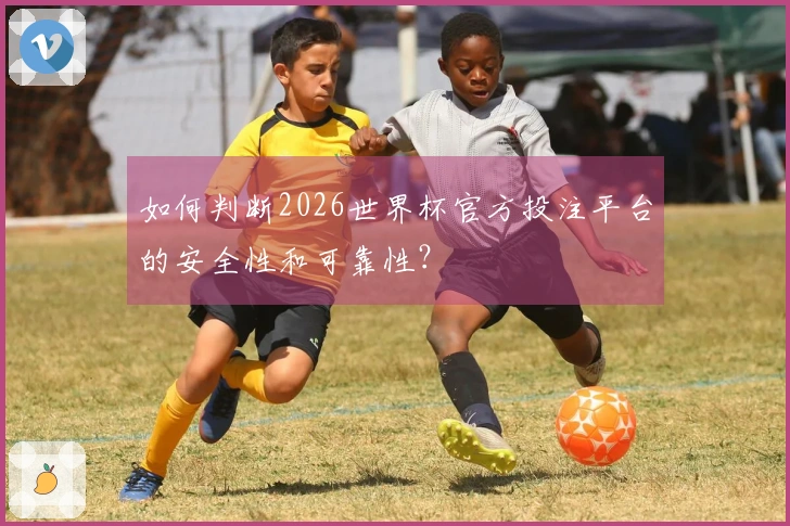 如何判断2026世界杯官方投注平台的安全性和可靠性？