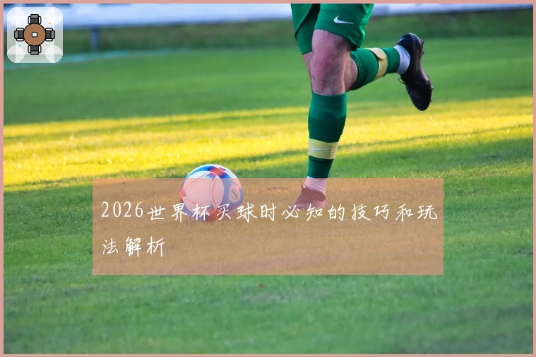 2026世界杯买球时必知的技巧和玩法解析