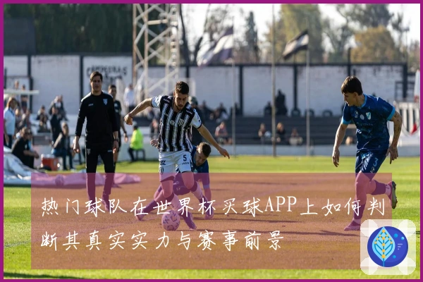 热门球队在世界杯买球APP上如何判断其真实实力与赛事前景
