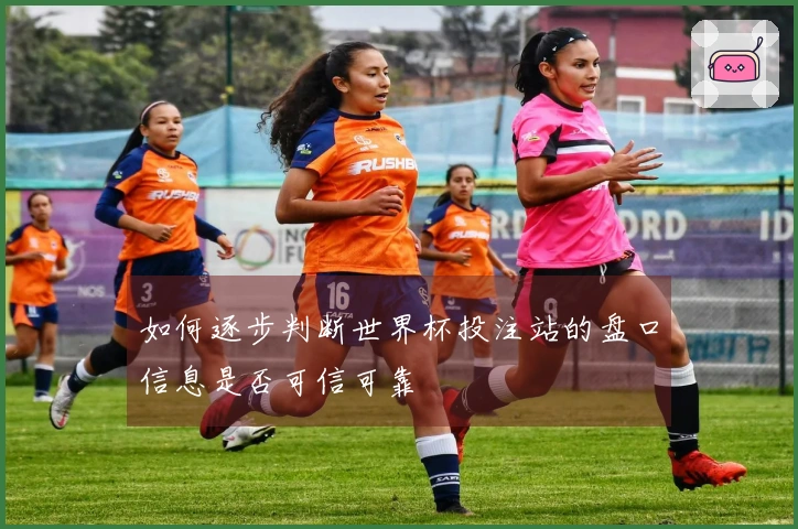 如何逐步判断世界杯投注站的盘口信息是否可信可靠