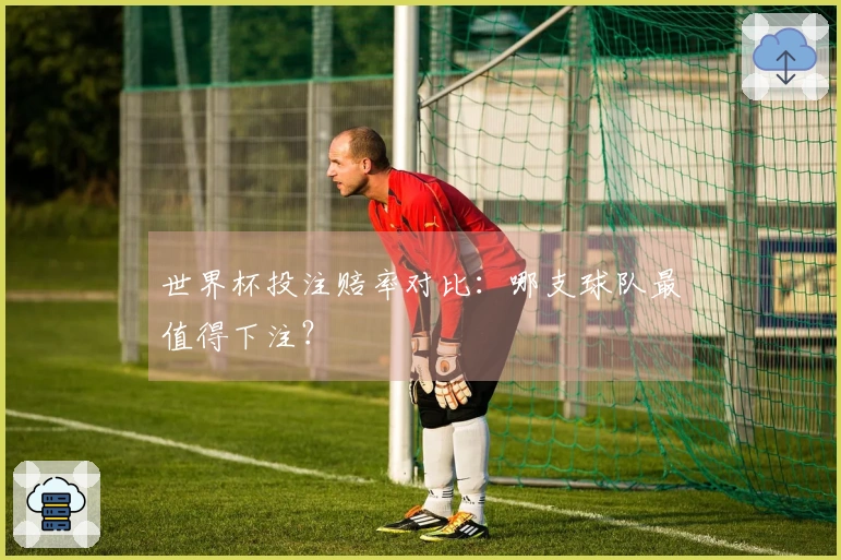 世界杯投注赔率对比：哪支球队最值得下注？