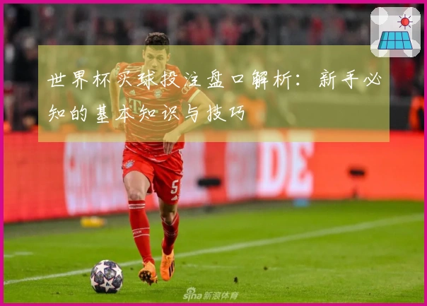 世界杯买球投注盘口解析：新手必知的基本知识与技巧