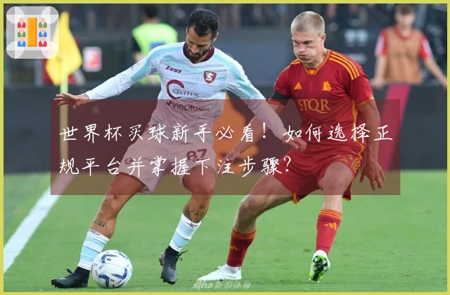 世界杯买球新手必看！如何选择正规平台并掌握下注步骤？