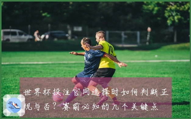 世界杯投注官网选择时如何判断正规与否？赛前必知的几个关键点