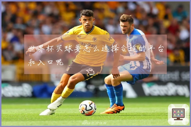 世界杯买球要怎么选择合适的平台和入口呢
