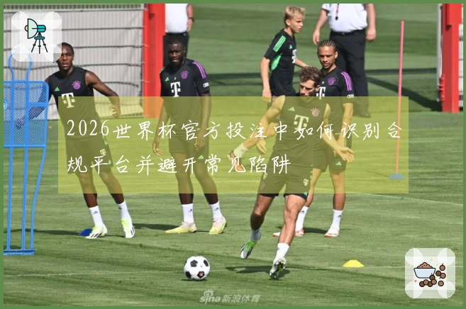 2026世界杯官方投注中如何识别合规平台并避开常见陷阱