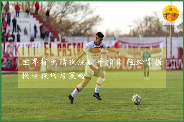 世界杯竞猜投注新手指南 轻松掌握投注技巧与策略