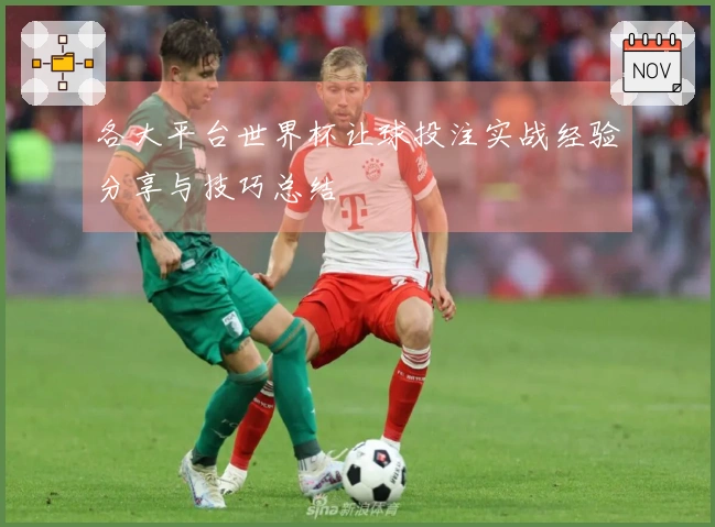 各大平台世界杯让球投注实战经验分享与技巧总结