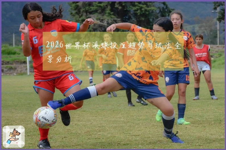 2026世界杯滚球投注趋势与玩法全景分析