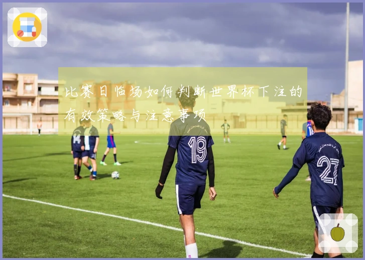 比赛日临场如何判断世界杯下注的有效策略与注意事项