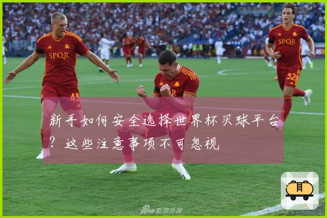 新手如何安全选择世界杯买球平台？这些注意事项不可忽视