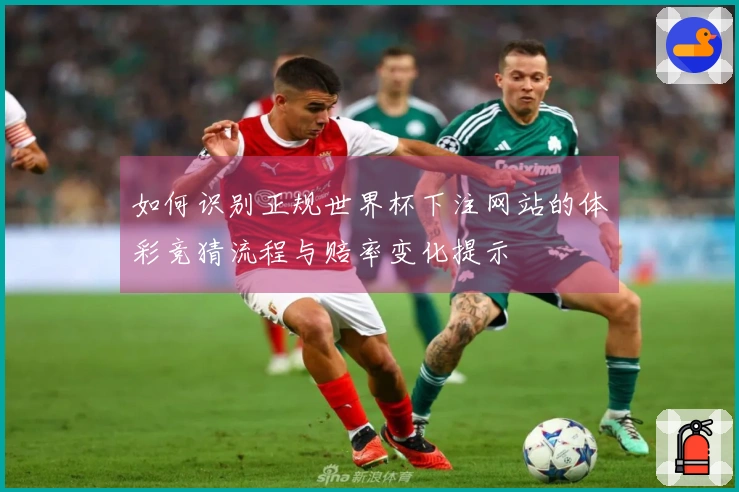 如何识别正规世界杯下注网站的体彩竞猜流程与赔率变化提示