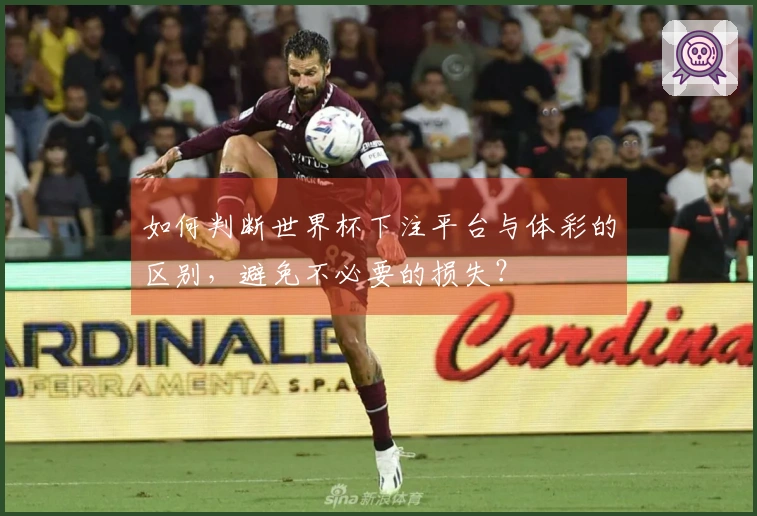 如何判断世界杯下注平台与体彩的区别，避免不必要的损失？