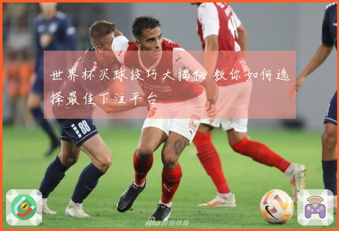 世界杯买球技巧大揭秘 教你如何选择最佳下注平台