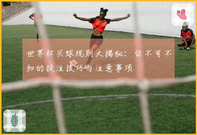 世界杯买球规则大揭秘：你不可不知的投注技巧与注意事项