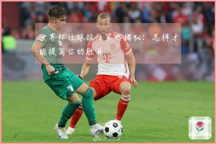 世界杯让球投注策略揭秘：怎样才能提高你的胜算