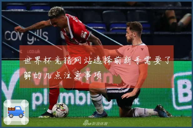 世界杯竞猜网站选择前新手需要了解的几点注意事项