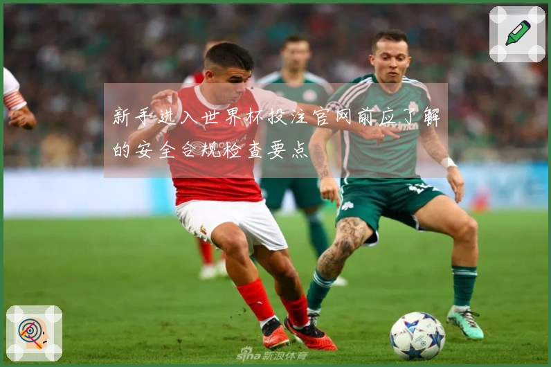 新手进入世界杯投注官网前应了解的安全合规检查要点