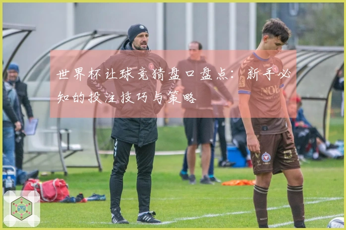 世界杯让球竞猜盘口盘点：新手必知的投注技巧与策略